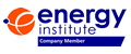 The Energy Institute