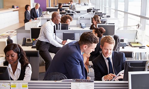 Workplace Harmony - Things you Need to Know